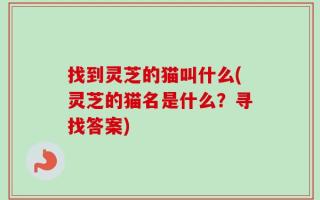 找到灵芝的猫叫什么(灵芝的猫名是什么？寻找答案)