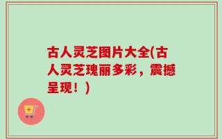 古人灵芝图片大全(古人灵芝瑰丽多彩，震撼呈现！)