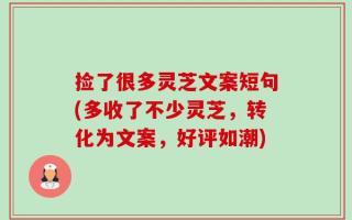 捡了很多灵芝文案短句(多收了不少灵芝，转化为文案，好评如潮)