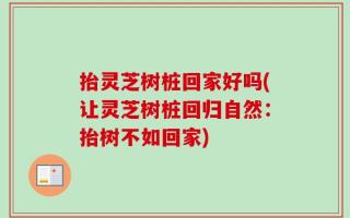 抬灵芝树桩回家好吗(让灵芝树桩回归自然：抬树不如回家)