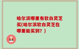 哈尔滨哪里有软白灵芝买(哈尔滨软白灵芝在哪里能买到？)