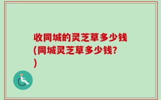 收同城的灵芝草多少钱(同城灵芝草多少钱？)