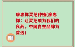 廖忠祥灵芝种植(廖忠祥：让灵芝成为我们的良药，中国自主品牌为首选)