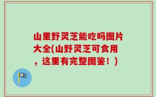 山里野灵芝能吃吗图片大全(山野灵芝可食用，这里有完整图鉴！)