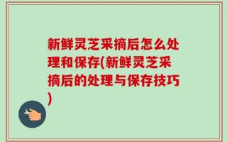 新鲜灵芝采摘后怎么处理和保存(新鲜灵芝采摘后的处理与保存技巧)