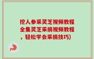 挖人参采灵芝视频教程全集灵芝采摘视频教程，轻松学会采摘技巧)