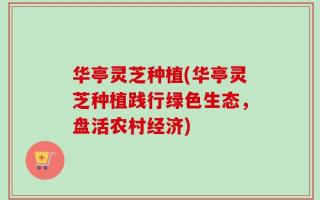 华亭灵芝种植(华亭灵芝种植践行绿色生态，盘活农村经济)