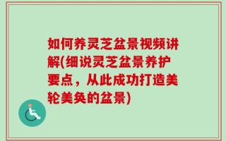如何养灵芝盆景视频讲解(细说灵芝盆景养护要点，从此成功打造美轮美奂的盆景)