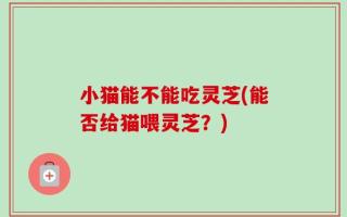 小猫能不能吃灵芝(能否给猫喂灵芝？)