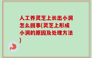 人工养灵芝上长出小洞怎么回事(灵芝上形成小洞的原因及处理方法)