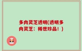 多肉灵芝透明(透明多肉灵芝：稀世珍品！)