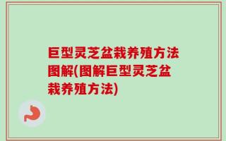巨型灵芝盆栽养殖方法图解(图解巨型灵芝盆栽养殖方法)