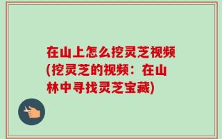 在山上怎么挖灵芝视频(挖灵芝的视频：在山林中寻找灵芝宝藏)