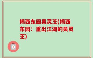 揭西东园吴灵芝(揭西东园：重出江湖的吴灵芝)