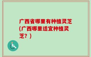 广西省哪里有种植灵芝(广西哪里适宜种植灵芝？)