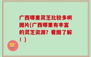 广西哪里灵芝比较多啊图片(广西哪里有丰富的灵芝资源？看图了解！)