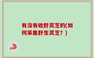 有没有收野灵芝的(如何采集野生灵芝？)
