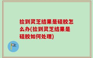 捡到灵芝结果是硅胶怎么办(捡到灵芝结果是硅胶如何处理)