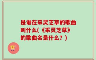是谁在采灵芝草的歌曲叫什么(《采灵芝草》的歌曲名是什么？)