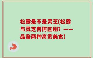 松露是不是灵芝(松露与灵芝有何区别？——品鉴两种高贵美食)