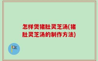怎样煲猪肚灵芝汤(猪肚灵芝汤的制作方法)