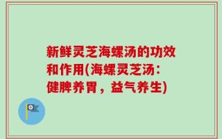 新鲜灵芝海螺汤的功效和作用(海螺灵芝汤：健脾养胃，益气养生)