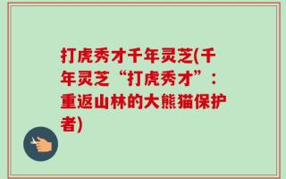 打虎秀才千年灵芝(千年灵芝“打虎秀才”：重返山林的大熊猫保护者)