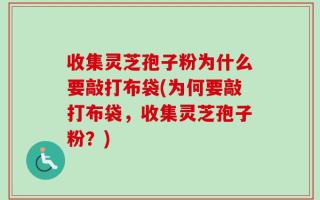 收集灵芝孢子粉为什么要敲打布袋(为何要敲打布袋，收集灵芝孢子粉？)
