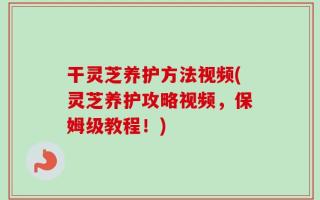 干灵芝养护方法视频(灵芝养护攻略视频，保姆级教程！)