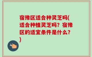 宿豫区适合种灵芝吗(适合种植灵芝吗？宿豫区的适宜条件是什么？)