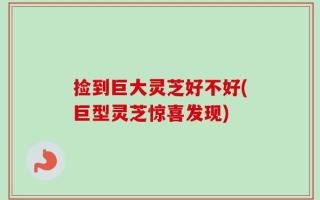 捡到巨大灵芝好不好(巨型灵芝惊喜发现)