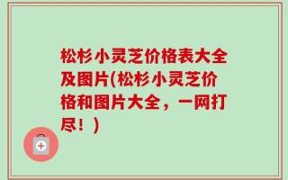 松杉小灵芝价格表大全及图片(松杉小灵芝价格和图片大全，一网打尽！)