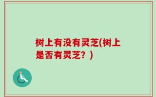 树上有没有灵芝(树上是否有灵芝？)