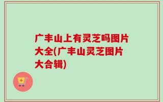 广丰山上有灵芝吗图片大全(广丰山灵芝图片大合辑)