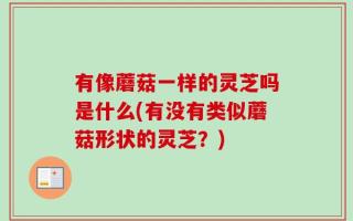有像蘑菇一样的灵芝吗是什么(有没有类似蘑菇形状的灵芝？)