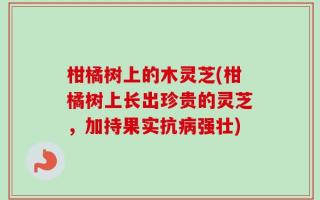 柑橘树上的木灵芝(柑橘树上长出珍贵的灵芝，加持果实抗病强壮)