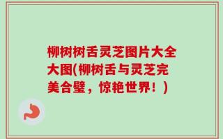 柳树树舌灵芝图片大全大图(柳树舌与灵芝完美合璧，惊艳世界！)