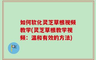 如何软化灵芝草根视频教学(灵芝草根教学视频：温和有效的方法)