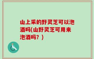 山上采的野灵芝可以泡酒吗(山野灵芝可用来泡酒吗？)