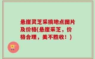 悬崖灵芝采摘地点图片及价格(悬崖采芝，价格合理，美不胜收！)