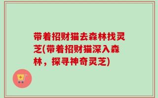 带着招财猫去森林找灵芝(带着招财猫深入森林，探寻神奇灵芝)