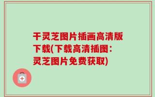 干灵芝图片插画高清版下载(下载高清插图：灵芝图片免费获取)