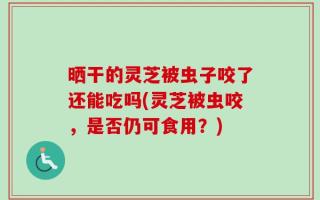 晒干的灵芝被虫子咬了还能吃吗(灵芝被虫咬，是否仍可食用？)