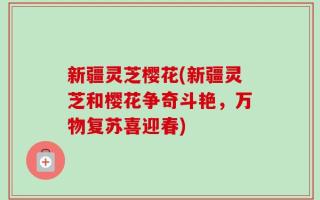 新疆灵芝樱花(新疆灵芝和樱花争奇斗艳，万物复苏喜迎春)