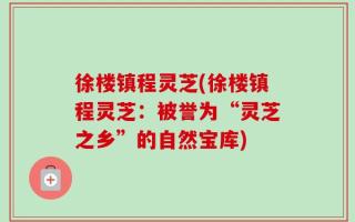 徐楼镇程灵芝(徐楼镇程灵芝：被誉为“灵芝之乡”的自然宝库)