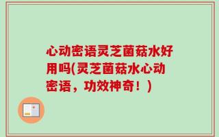 心动密语灵芝菌菇水好用吗(灵芝菌菇水心动密语，功效神奇！)