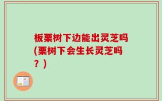 板栗树下边能出灵芝吗(栗树下会生长灵芝吗？)