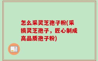 怎么采灵芝孢子粉(采摘灵芝孢子，匠心制成高品质孢子粉)
