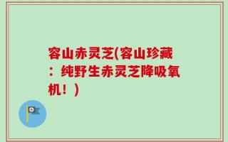 容山赤灵芝(容山珍藏：纯野生赤灵芝降吸氧机！)