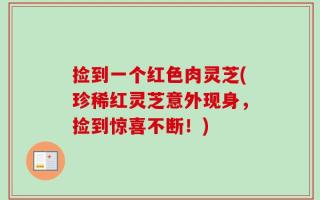捡到一个红色肉灵芝(珍稀红灵芝意外现身，捡到惊喜不断！)